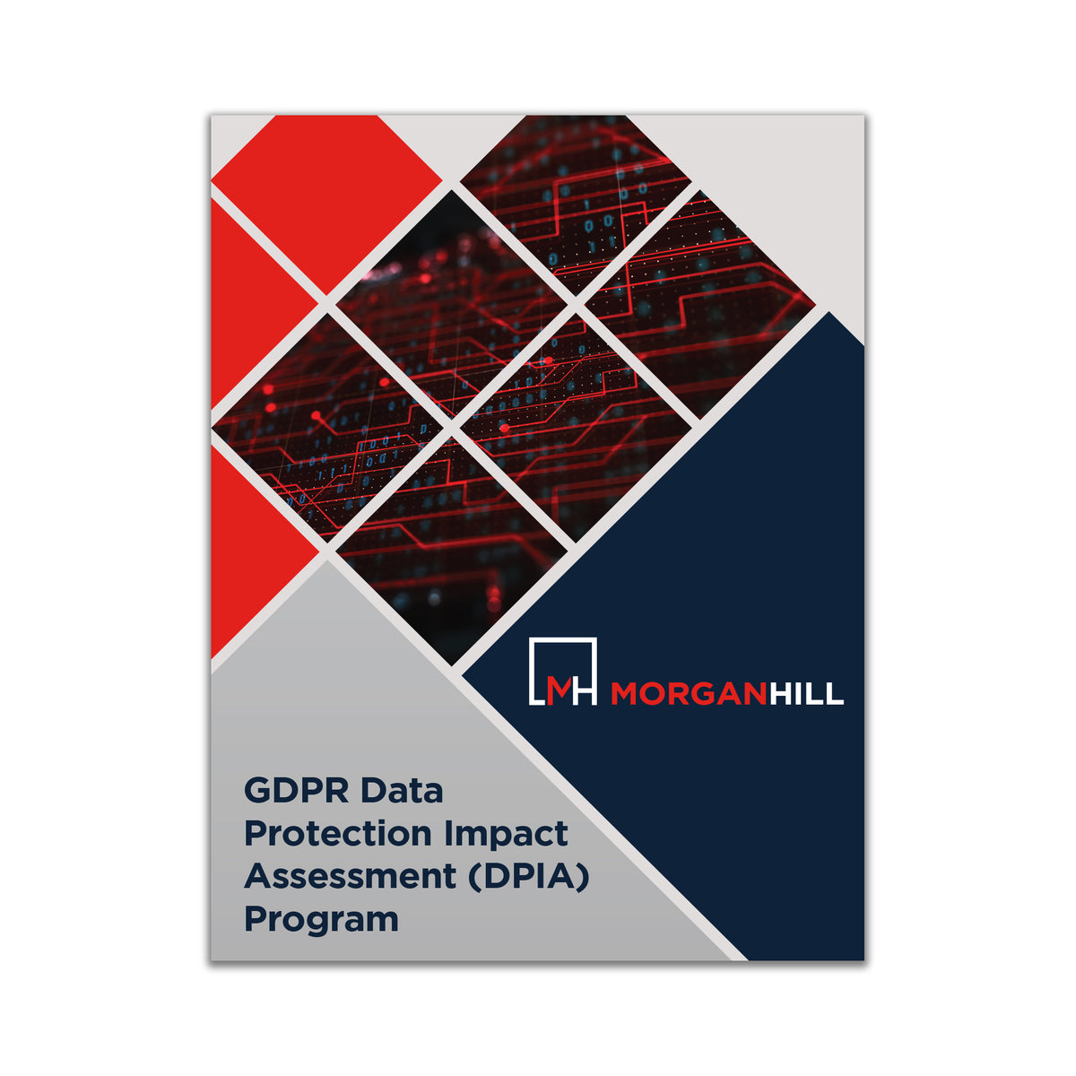 GDPR Data Protection Impact Assessment (DPIA) Program